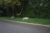 Enlarge photo 40