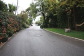 Enlarge photo 41