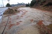 Enlarge photo 45