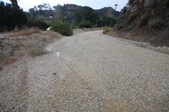 Enlarge photo 50