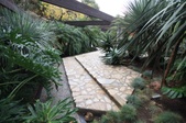 Enlarge photo 36