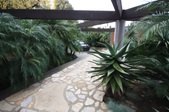 Enlarge photo 37