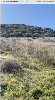 Leona Ranch