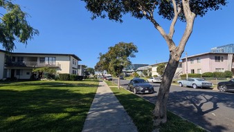Enlarge photo 39