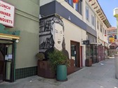 Enlarge photo 63
