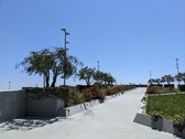 Enlarge photo 161