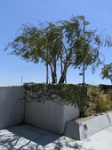 Enlarge photo 162