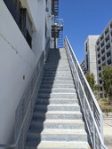 Enlarge photo 203