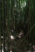 Enlarge photo 1