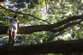 Enlarge photo 25