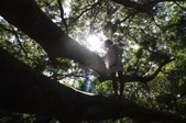 Enlarge photo 26