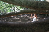Enlarge photo 31
