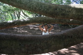 Enlarge photo 32