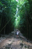 Enlarge photo 39