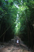 Enlarge photo 40
