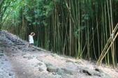 Enlarge photo 41