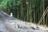 Enlarge photo 42