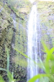 Enlarge photo 44