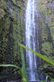 Enlarge photo 45