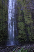 Enlarge photo 46
