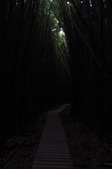 Enlarge photo 49