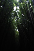 Enlarge photo 52