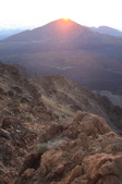 Enlarge photo 67