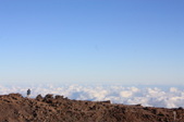 Enlarge photo 142