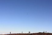 Enlarge photo 171