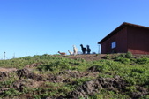 Enlarge photo 186