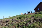 Enlarge photo 187