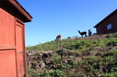 Enlarge photo 188