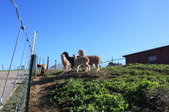 Enlarge photo 189