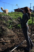 Enlarge photo 208