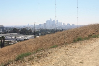 Ascot Hills