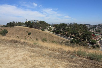 Enlarge photo 20
