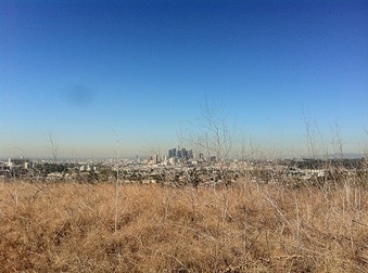 Enlarge photo 21