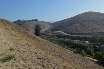 Enlarge photo 3