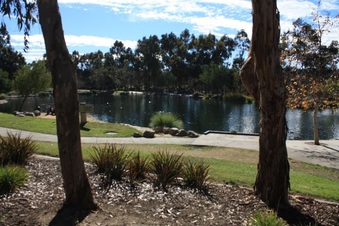 Enlarge photo 11