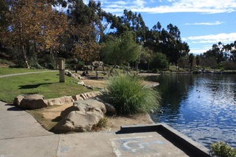 Enlarge photo 13