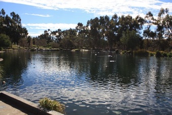 Enlarge photo 14