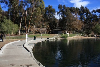 Enlarge photo 17