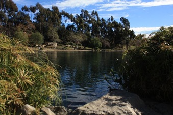 Enlarge photo 19
