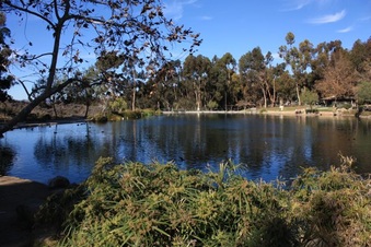 Enlarge photo 23