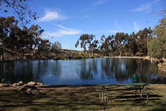Enlarge photo 28
