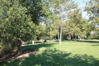 Enlarge photo 3