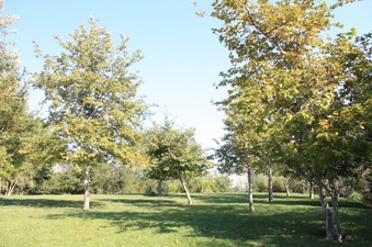Enlarge photo 6