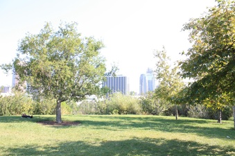 Enlarge photo 8