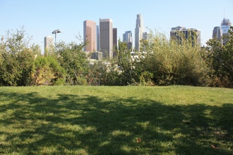 Enlarge photo 10