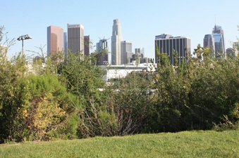 Enlarge photo 12